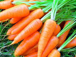 морква користь