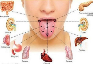 болезнь налет язык