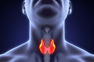 щитовидна залоза
