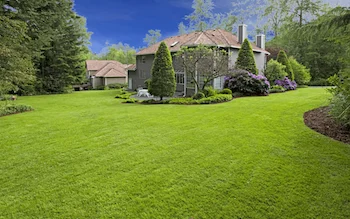 How to have a beautiful lawn beautiful lawn